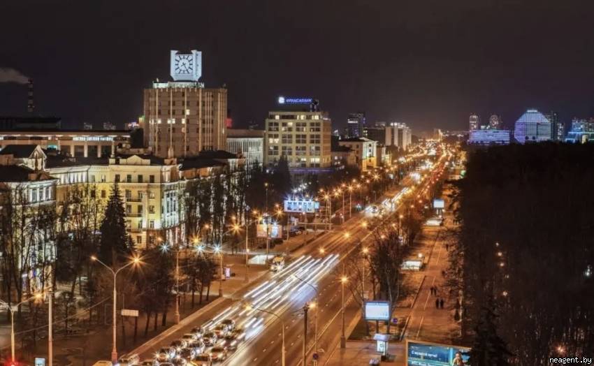 1-комнатная квартира, Независимости просп., 80, 100 рублей: фото 7