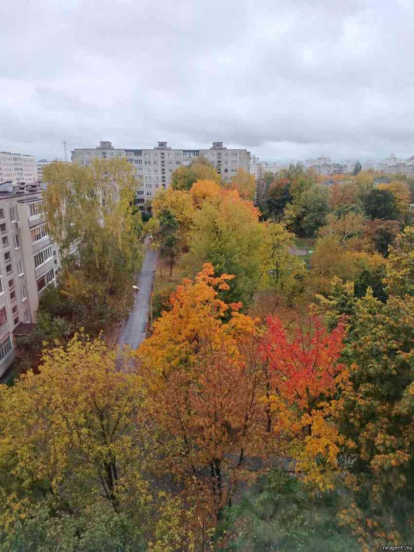 1-комнатная квартира, ул. Куйбышева, 95, 1050 рублей: фото 3
