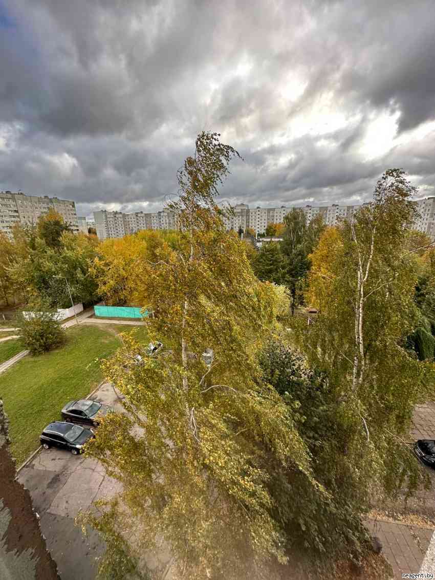 3-комнатная квартира, ул. Белецкого, 46, 326293 рублей: фото 9