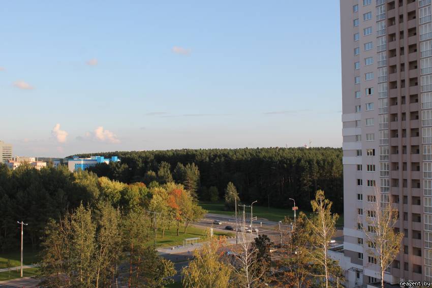 1-комнатная квартира, ул. Петра Мстиславца, 1, 1800 рублей: фото 49