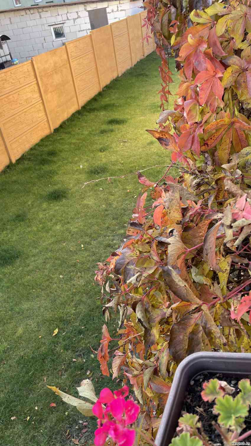 1-комнатная квартира, Тобольский пер., 17, 1186 рублей: фото 24