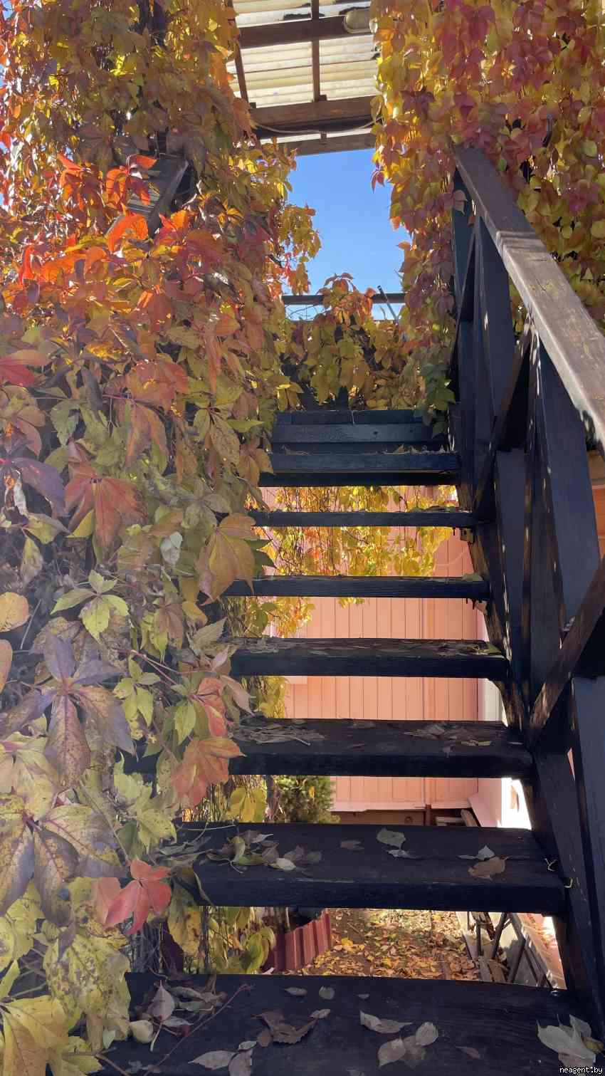 1-комнатная квартира, Тобольский пер., 17, 1186 рублей: фото 26