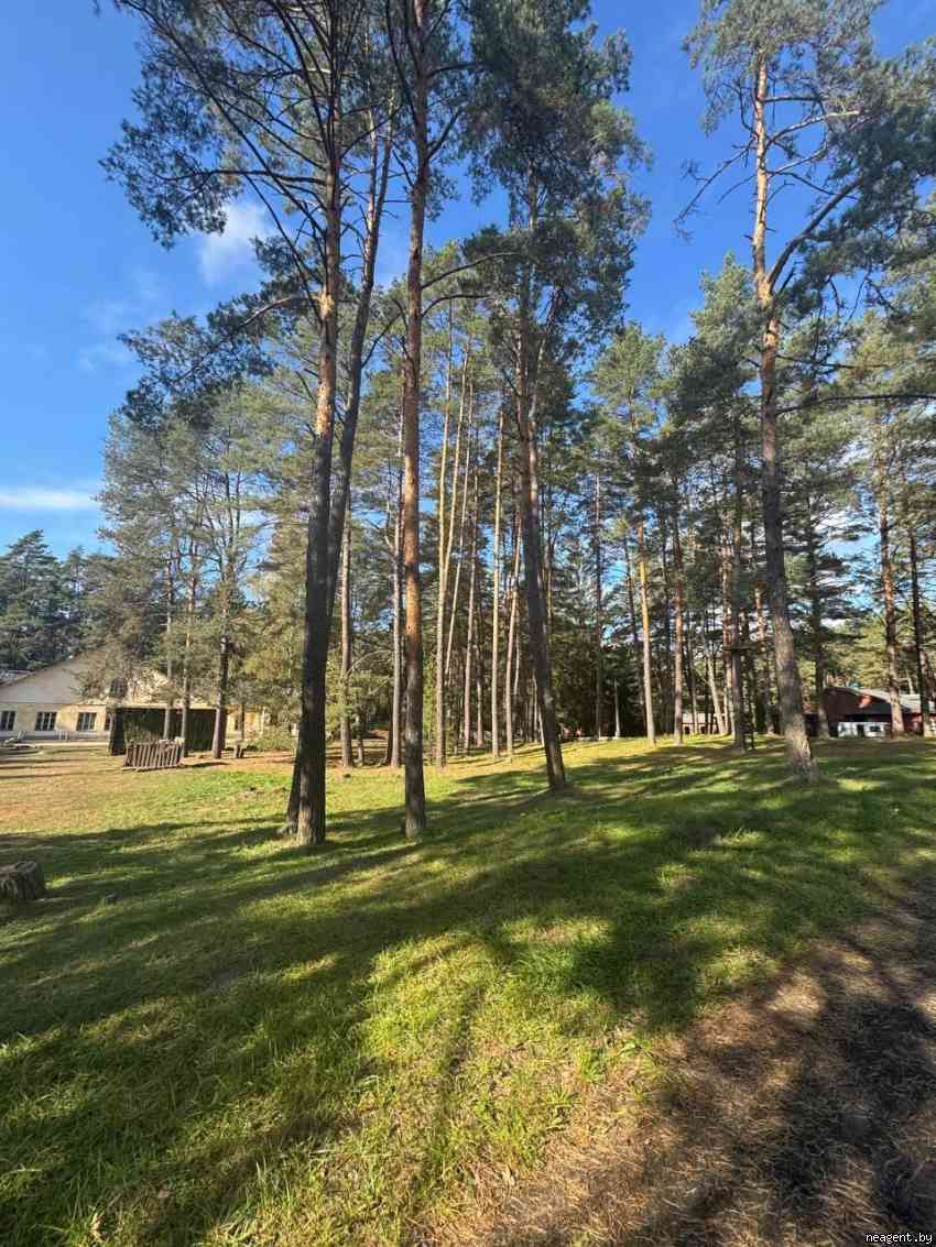 Коттедж, , 10 рублей: фото 15