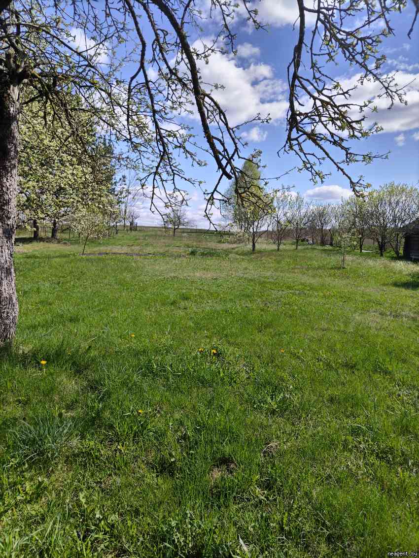 Участок, , 12000 рублей: фото 1