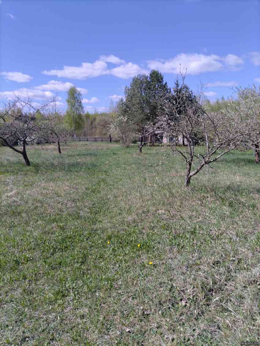 Участок, , 12000 рублей: фото 3