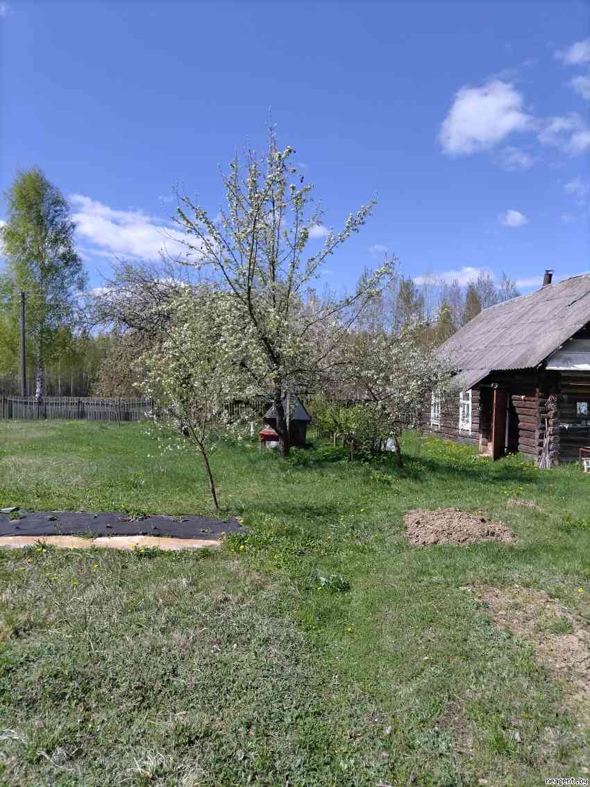 Участок, , 12000 рублей: фото 4