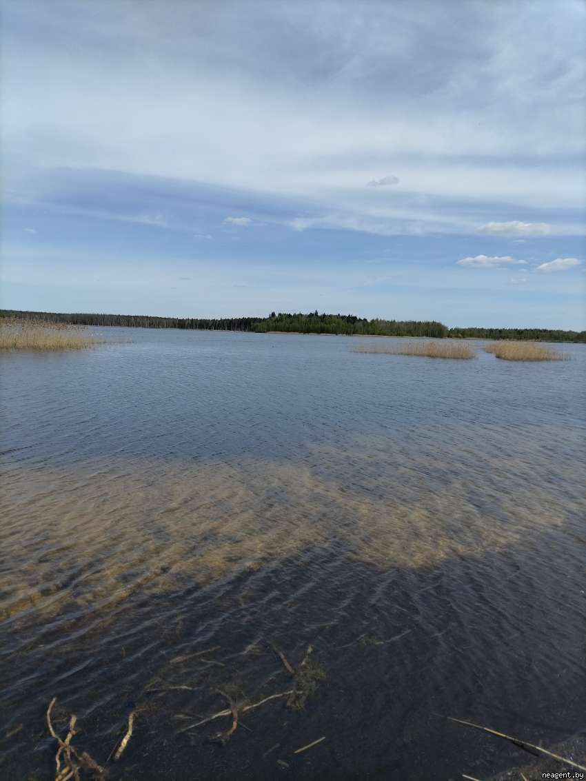 Участок, , 12000 рублей: фото 6