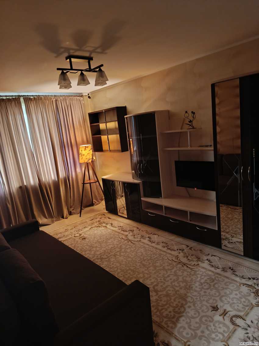 1-комнатная квартира, ул. Иосифа Жиновича, 15, 1339 рублей: фото 3