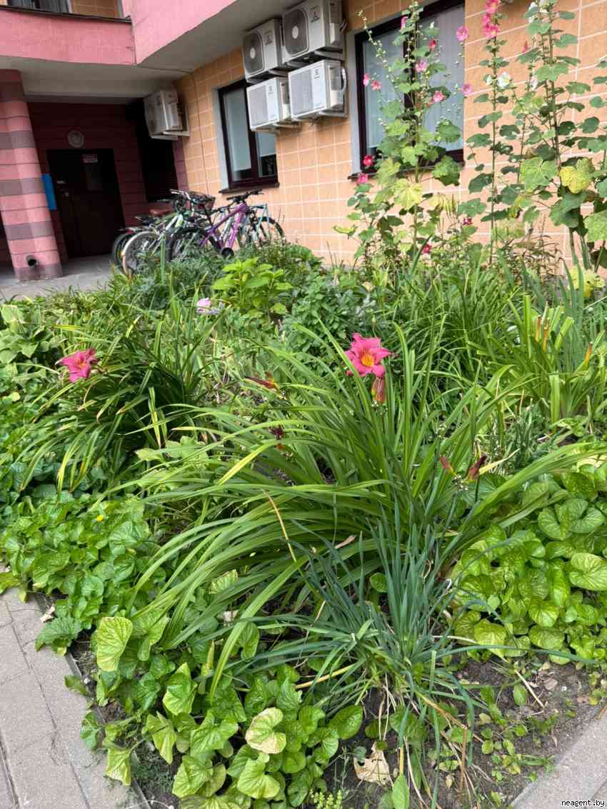 1-комнатная квартира, ул. Одоевского, 115/А, 1580 рублей: фото 10