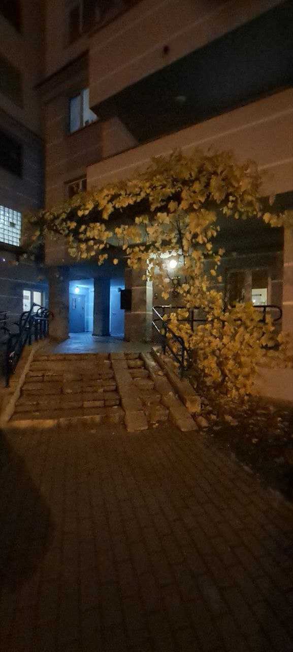 1-комнатная квартира, ул. Неманская, 5, 320 рублей: фото 24