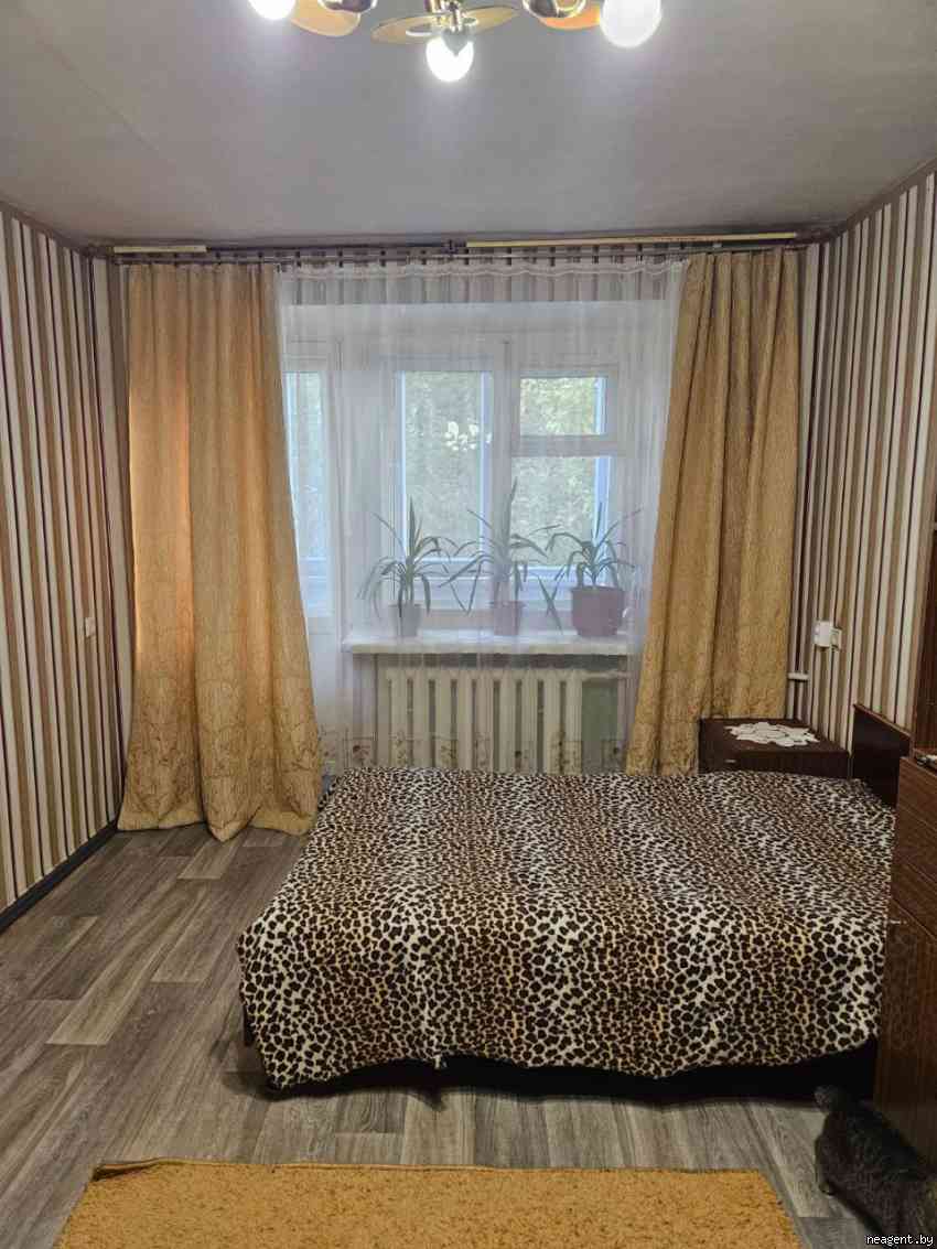 1-комнатная квартира, Хлюпина, 4, 270 рублей: фото 2