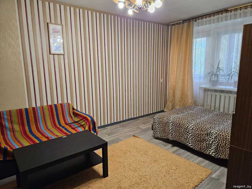 1-комнатная квартира, Хлюпина, 4, 270 рублей: фото 3