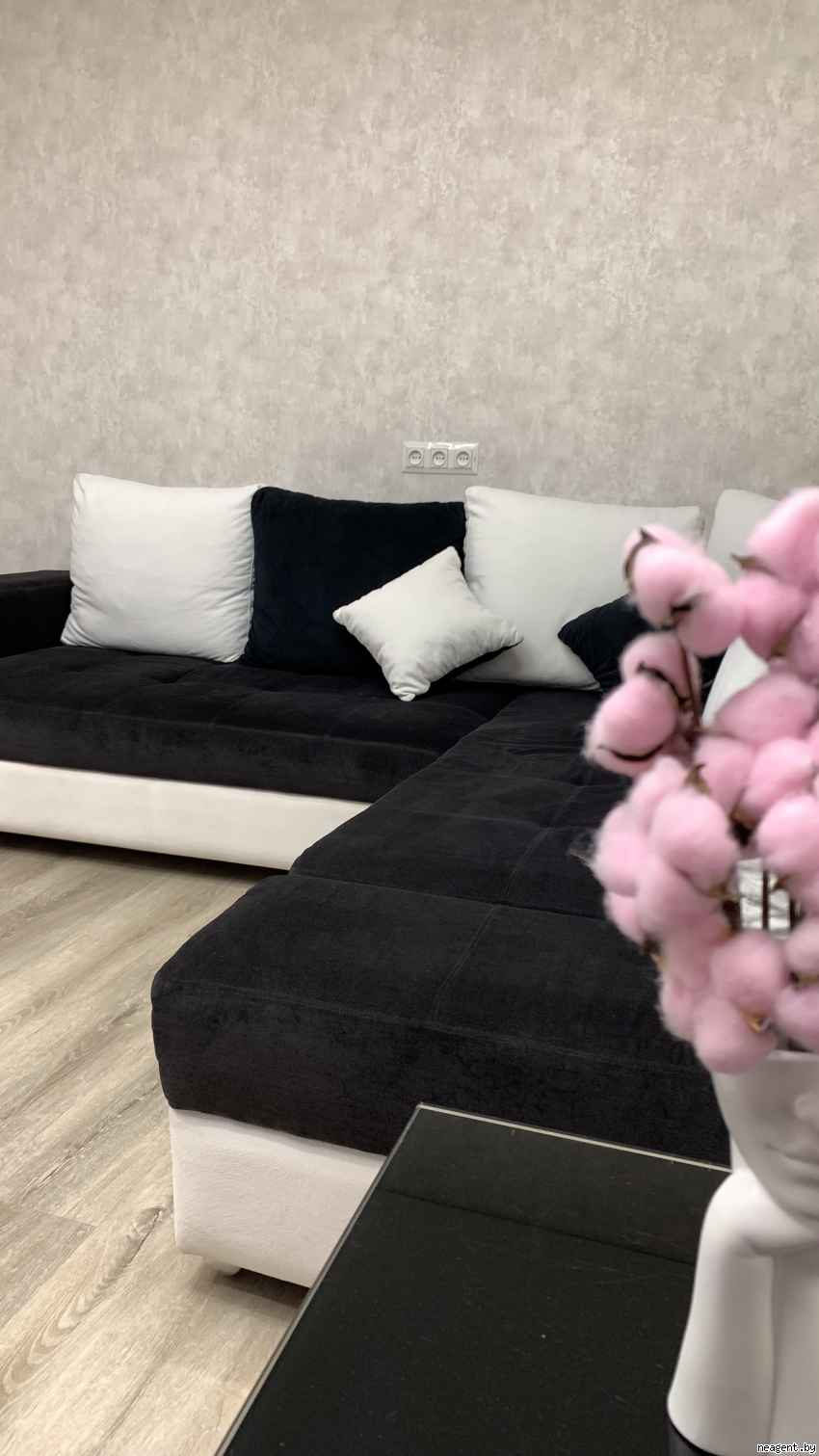 2-комнатная квартира, ул. Притыцкого, 48, 200 рублей: фото 5