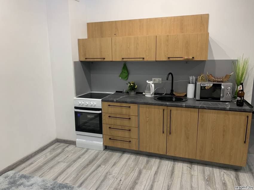 1-комнатная квартира, Проспект мира, 4, 1305 рублей: фото 2