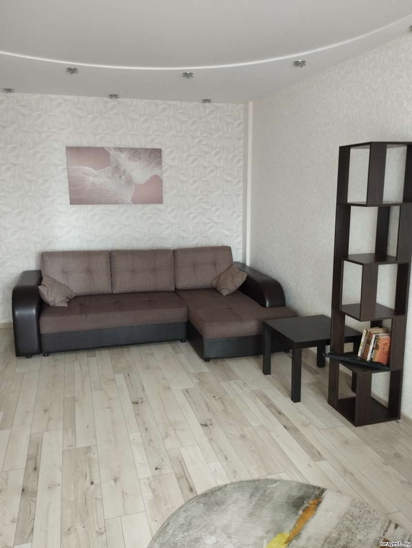 1-комнатная квартира, Притыцкого, 42, 1250 рублей: фото 3