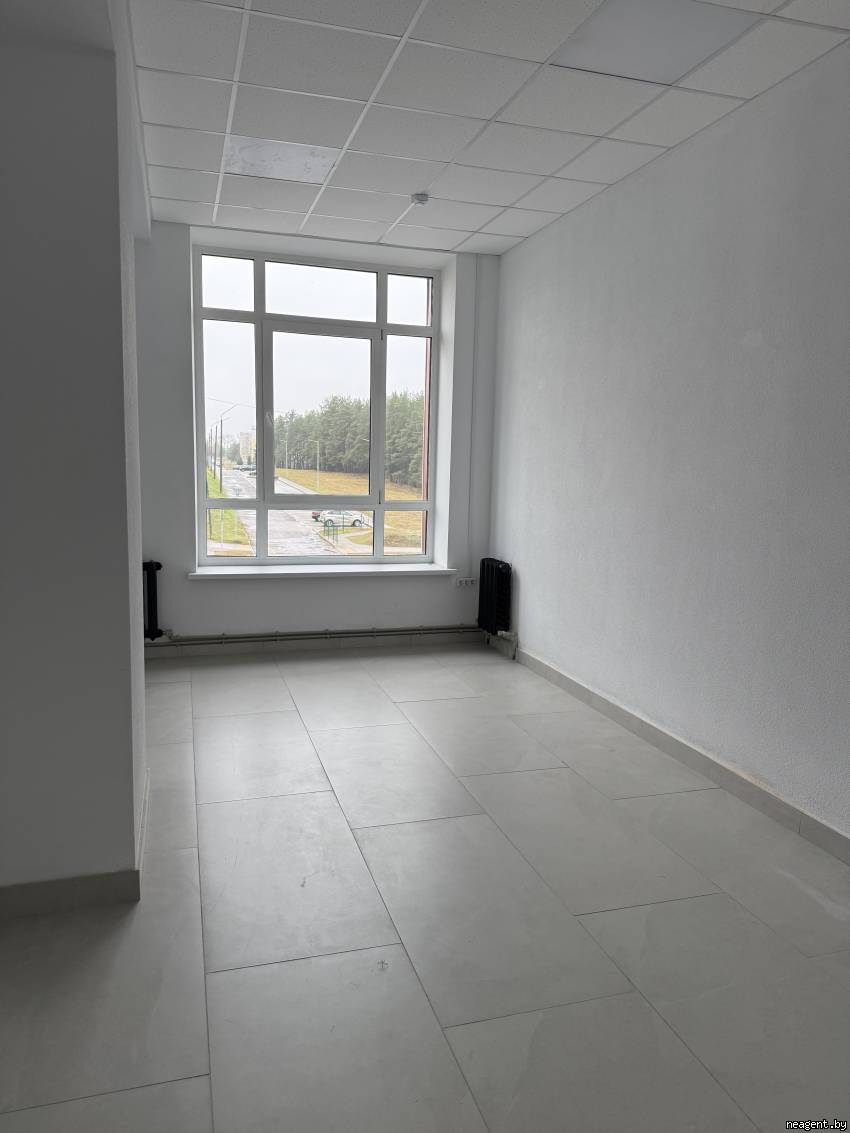 Офис, Ленинская, 166/Б, 32 рублей: фото 6