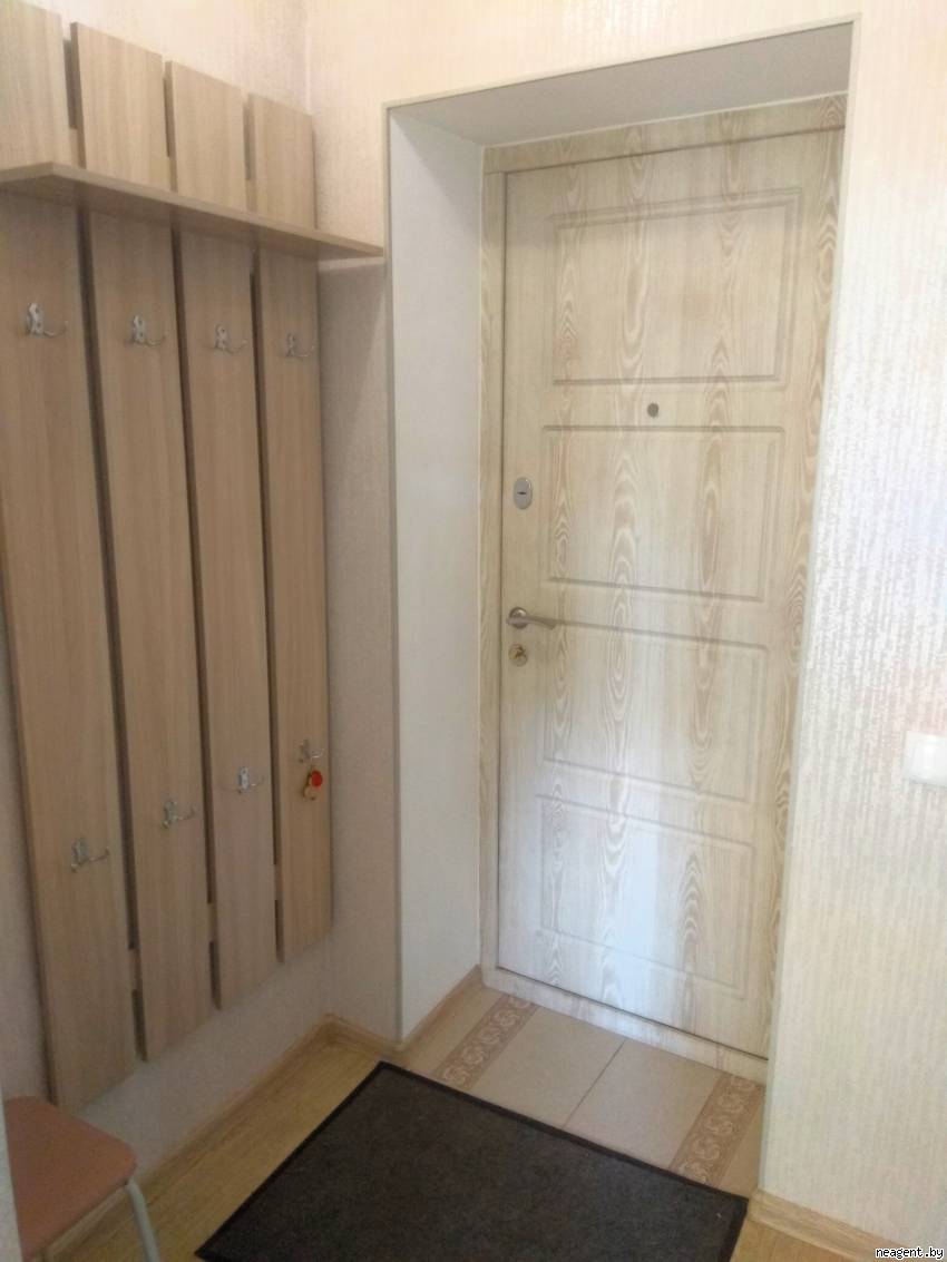 1-комнатная квартира, Партизанский просп., 37, 1097 рублей: фото 4