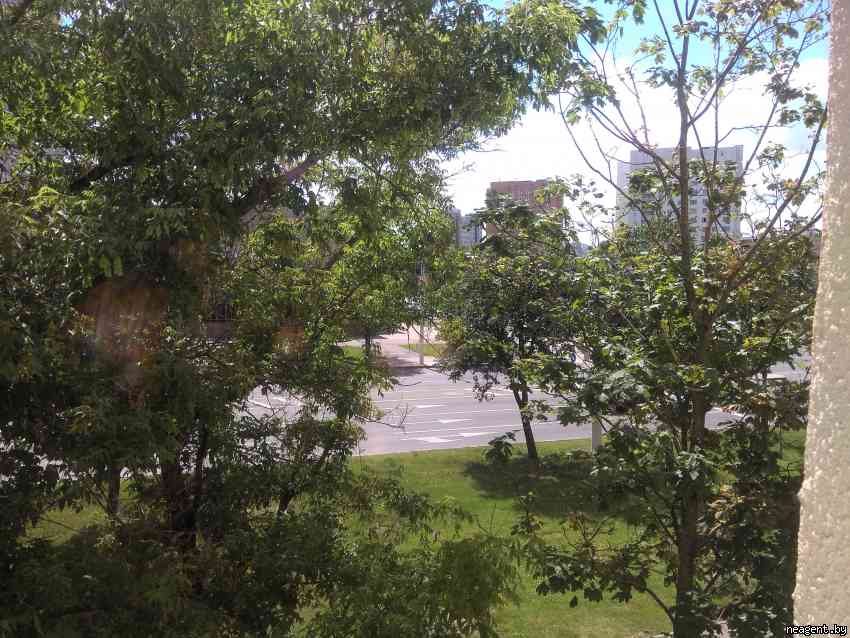 1-комнатная квартира, Партизанский просп., 37, 1097 рублей: фото 8