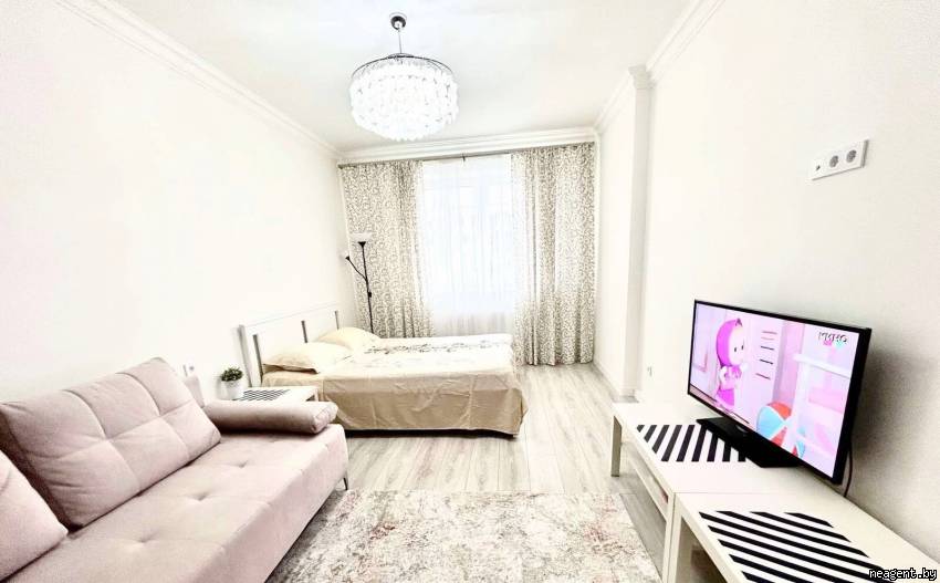 1-комнатная квартира, Пушкина просп., 36, 900 рублей: фото 2