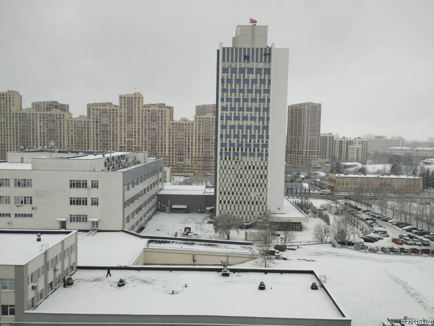 1-комнатная квартира, ул. Парниковая, 3/1, 950 рублей: фото 11