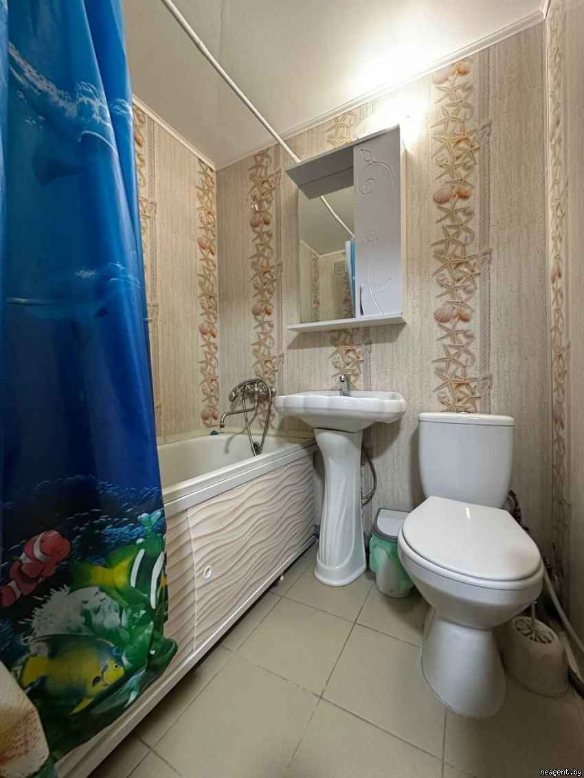 1-комнатная квартира, Песочная, 22, 380 рублей: фото 3