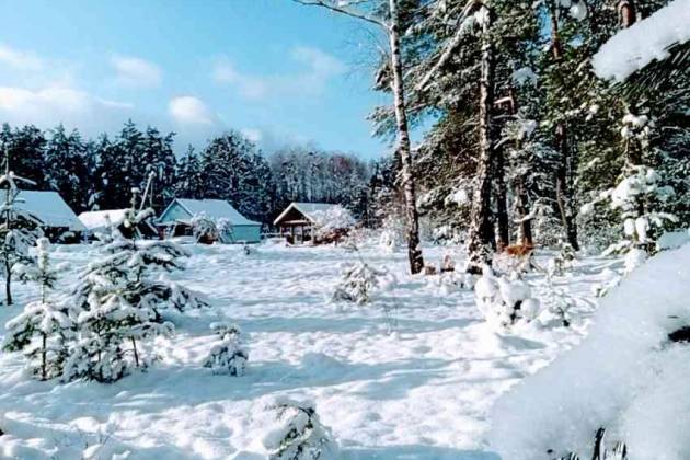 Коттедж, Каменка, Садовая, за 1500 р.