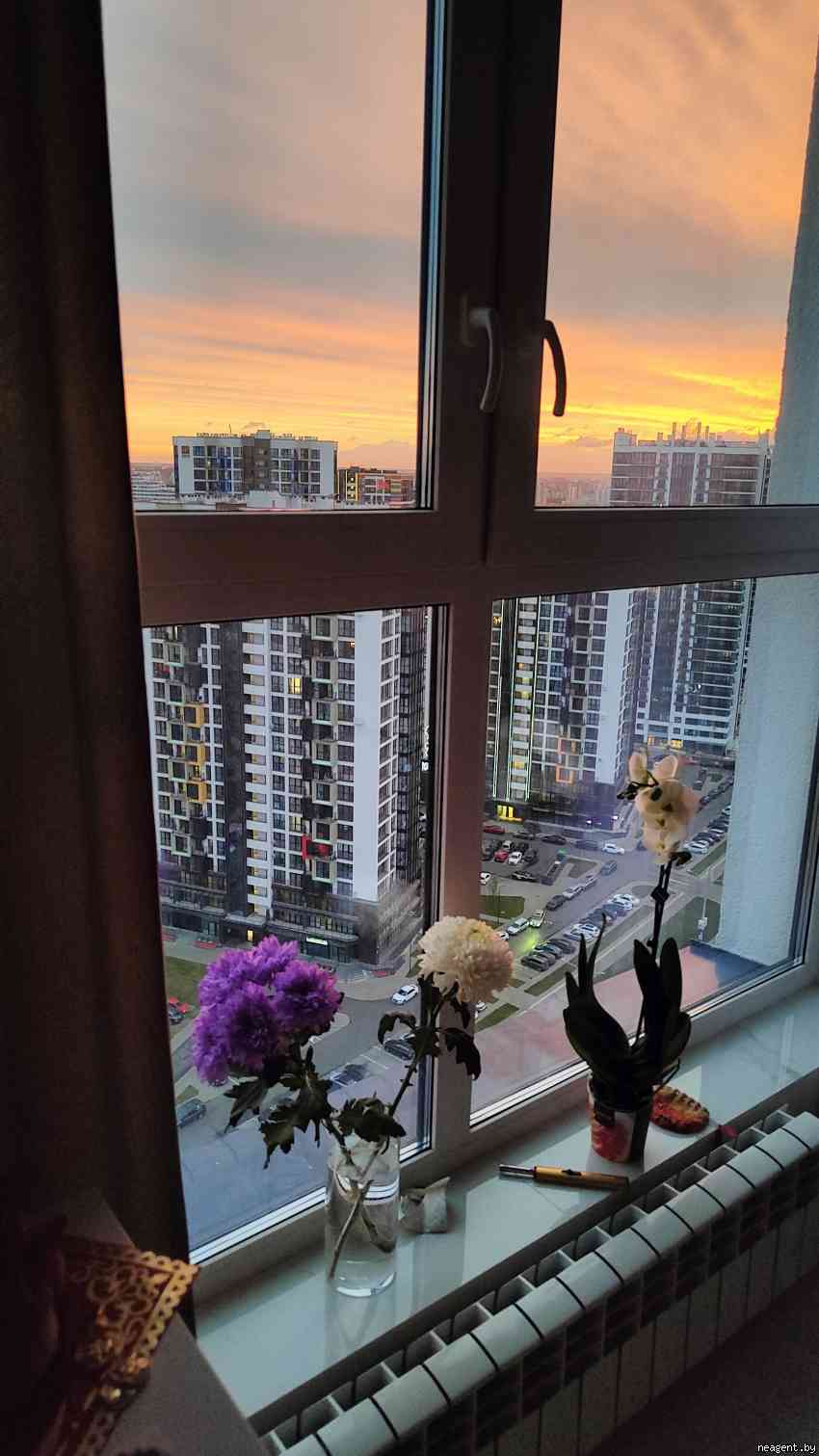 1-комнатная квартира, ул. Игоря Лученка, 8, 1599 рублей: фото 12