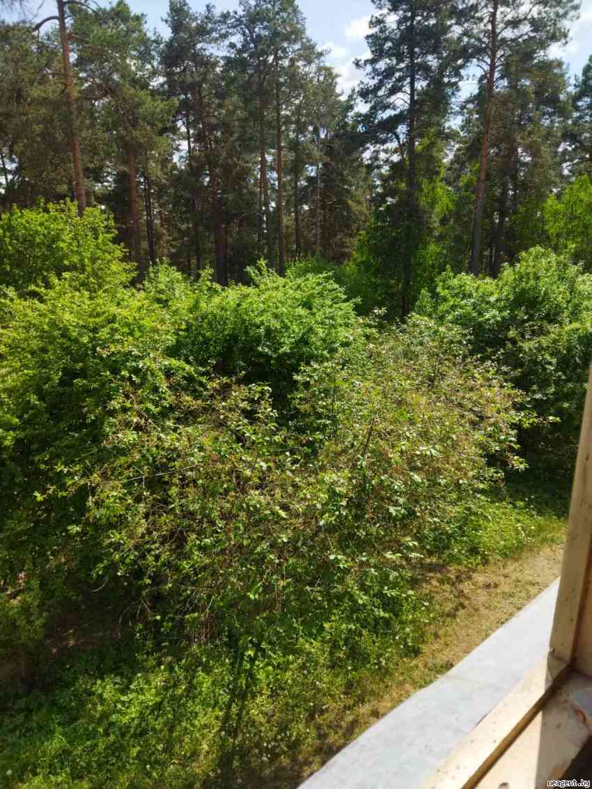 1-комнатная квартира, , 55 рублей: фото 7