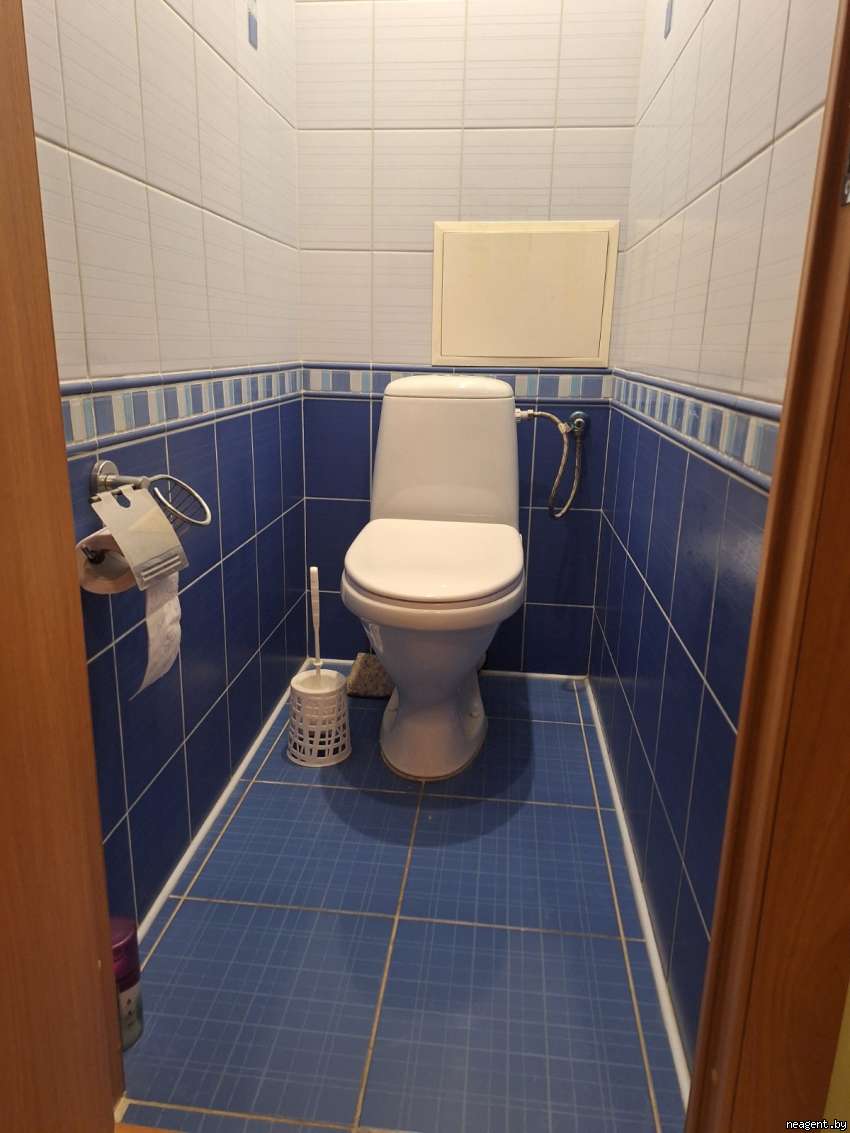 1-комнатная квартира, Тимошенко, 20/1, 1100 рублей: фото 11