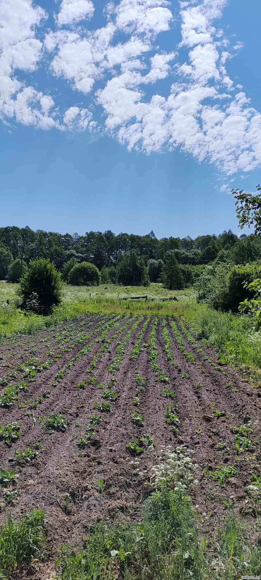 Участок, , 23000 рублей: фото 1