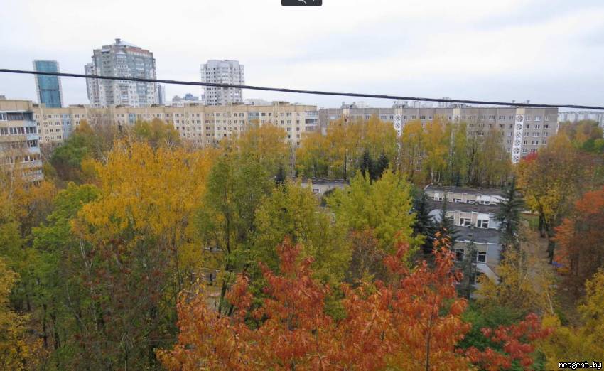 1-комнатная квартира, ул. Голубева, 11, 1026 рублей: фото 9