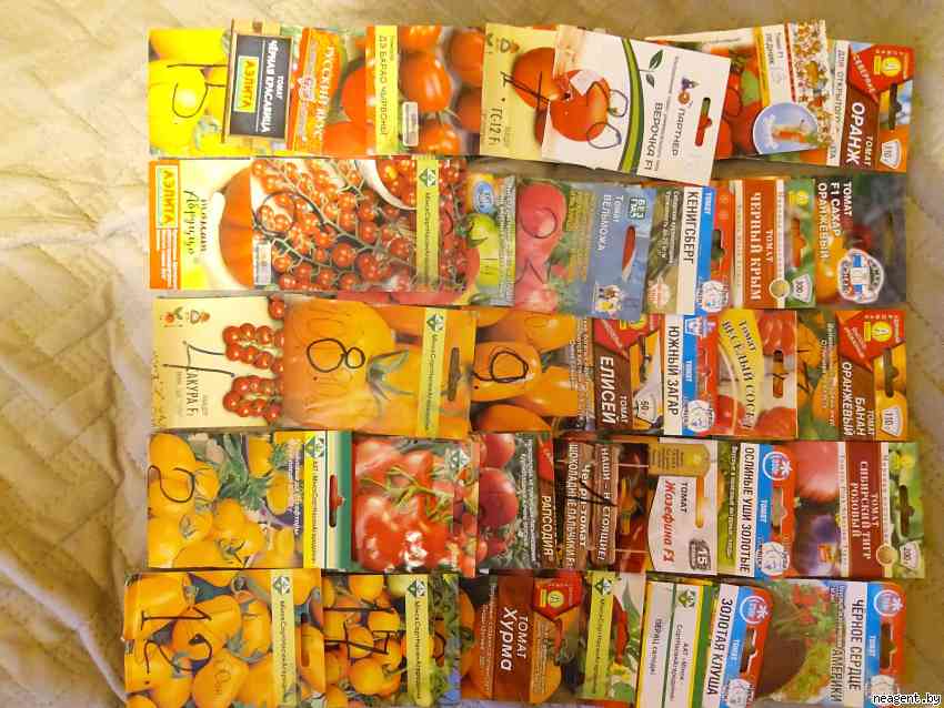 2-комнатная квартира, ул. Пимена Панченко, 10/А, 1050 рублей: фото 8