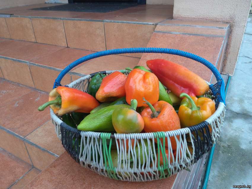 2-комнатная квартира, ул. Пимена Панченко, 10/А, 1050 рублей: фото 9