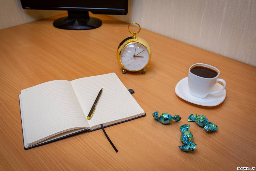 1-комнатная квартира, Пушкина просп., 38, 130 рублей: фото 7