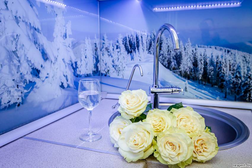 1-комнатная квартира, Пушкина просп., 38, 130 рублей: фото 31