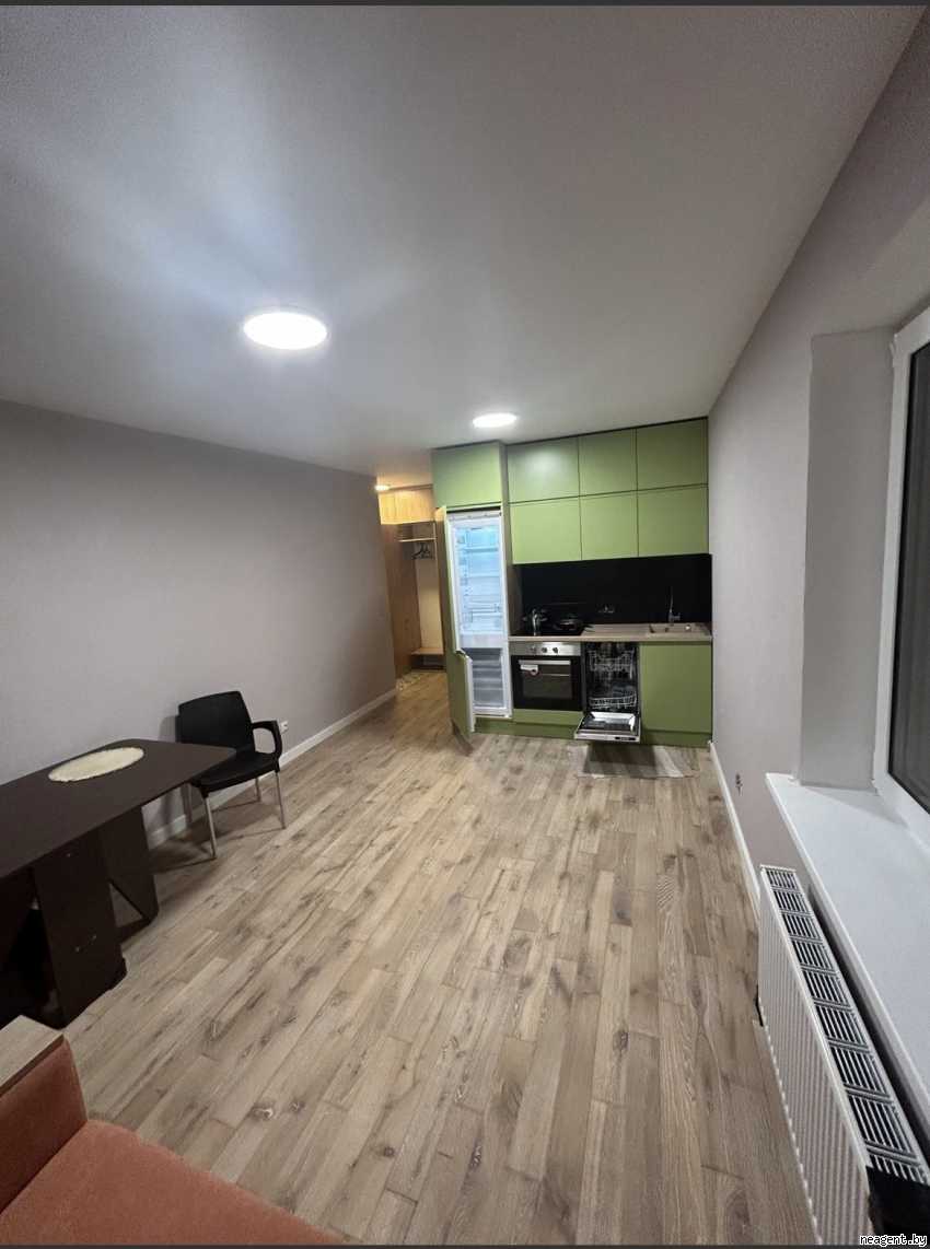 1-комнатная квартира, , 150 рублей: фото 3