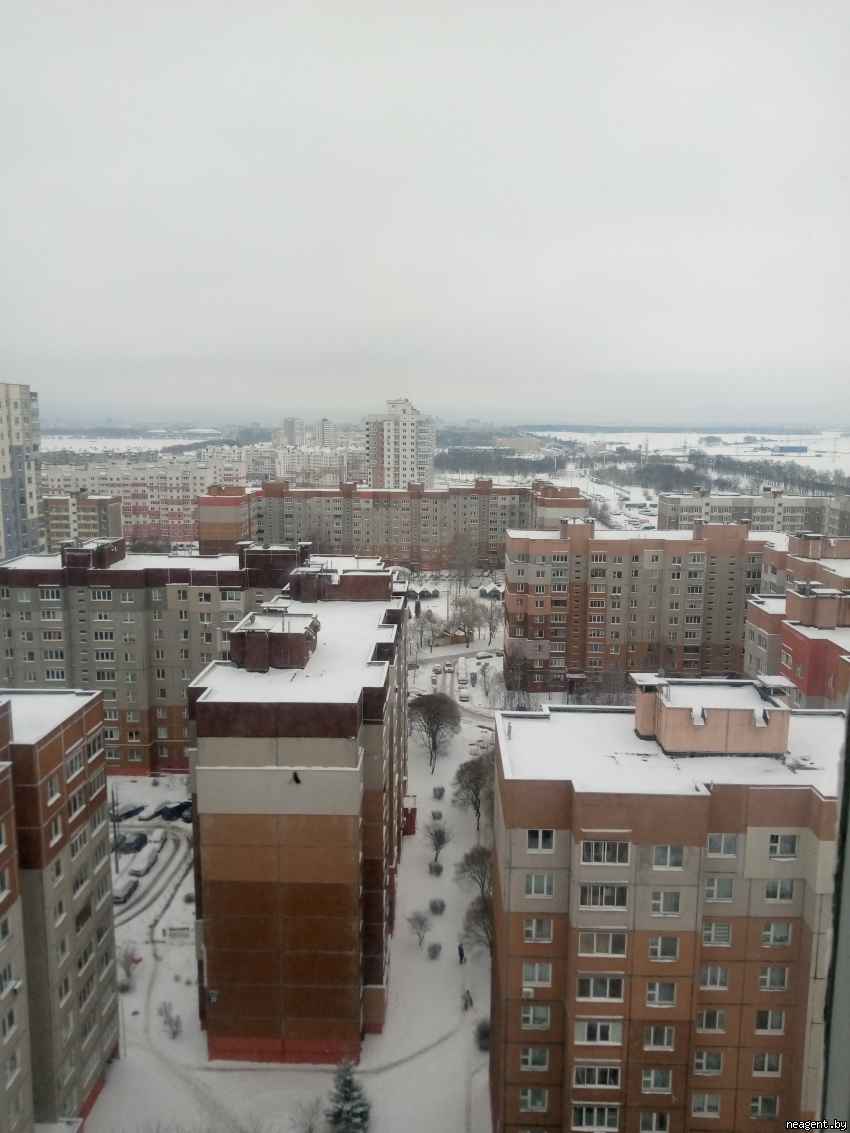 1-комнатная квартира, ул. Прушинских, 34/1, 435 рублей: фото 1