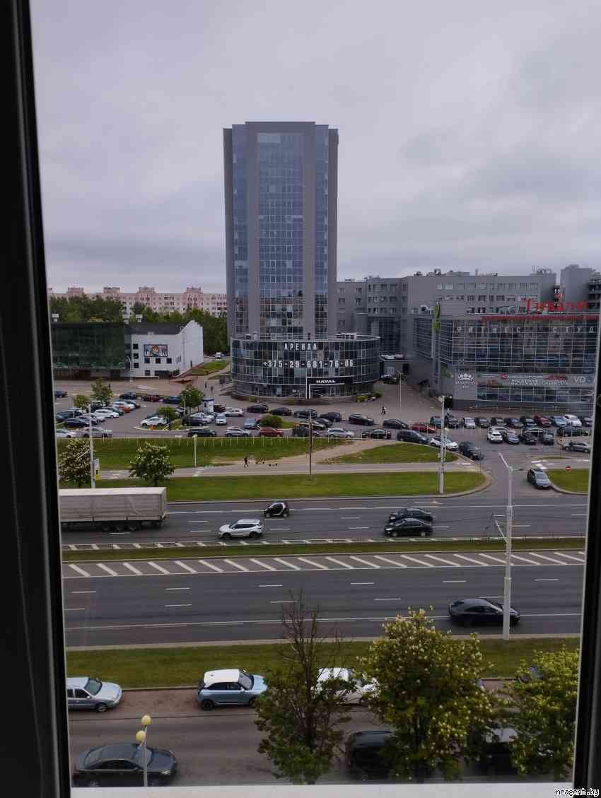 1-комнатная квартира, Притыцкого, 42, 1200 рублей: фото 1