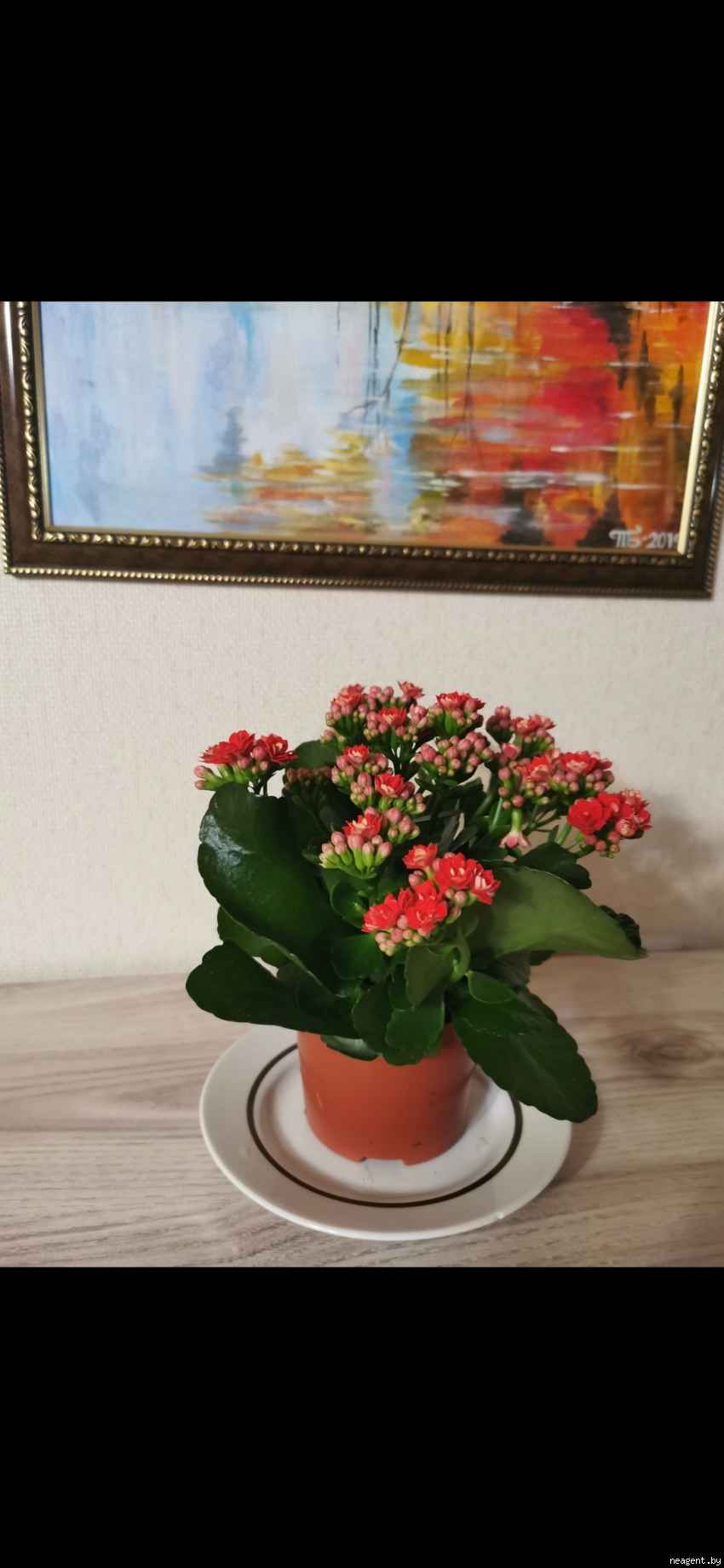 Комната, ул. Лобанка, 109 /-, 450 рублей: фото 1