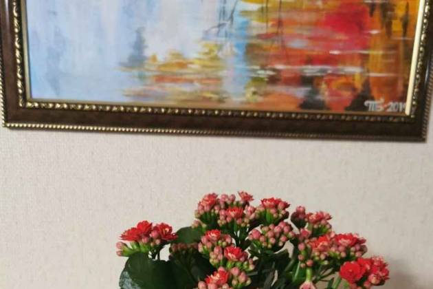 Комната, Лобанка ул., за 450 р.