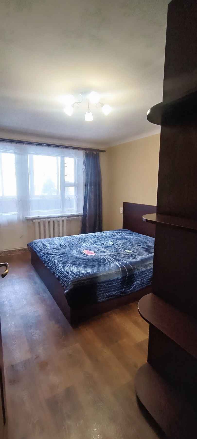 2-комнатная квартира, ул. Брикета, 16, 450 рублей: фото 6