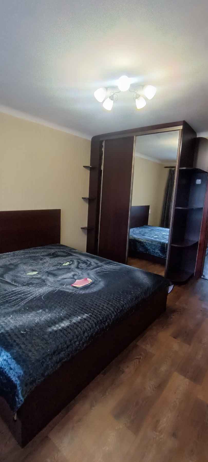 2-комнатная квартира, ул. Брикета, 16, 1230 рублей: фото 2