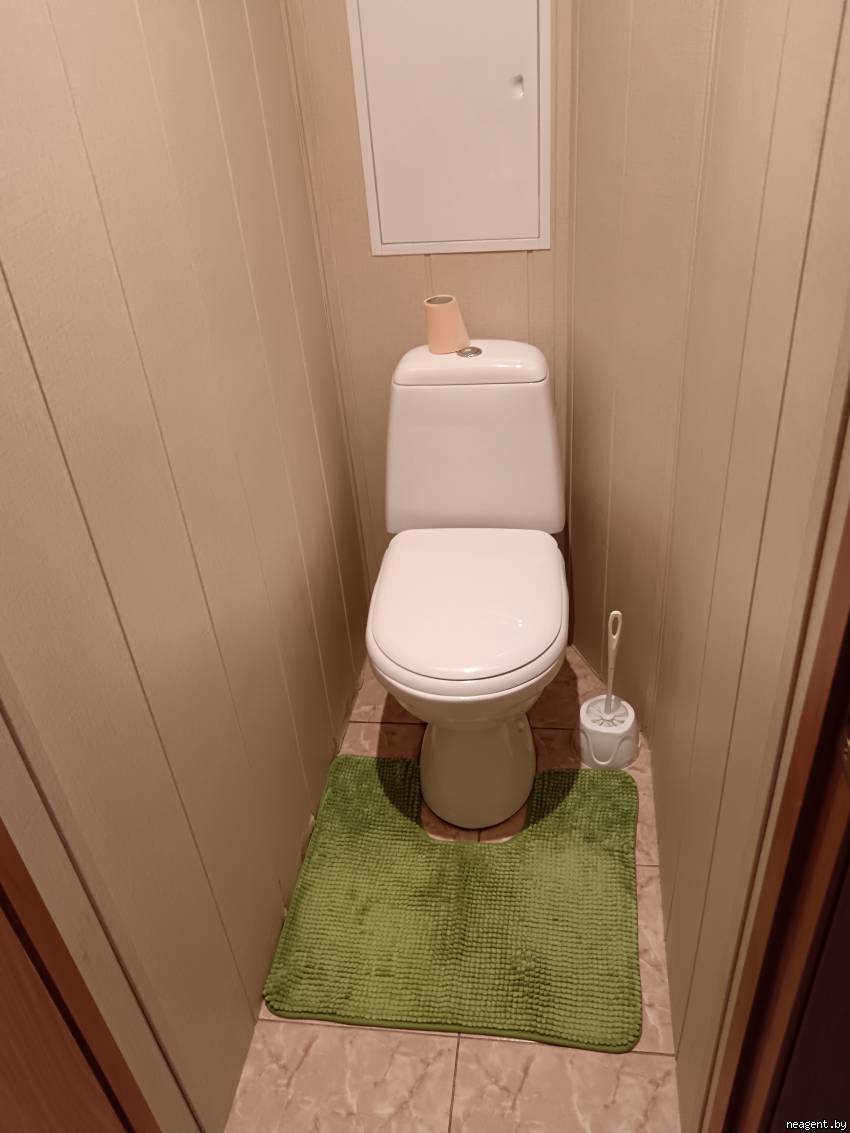 1-комнатная квартира, Пушкина просп., 5, 1200 рублей: фото 6