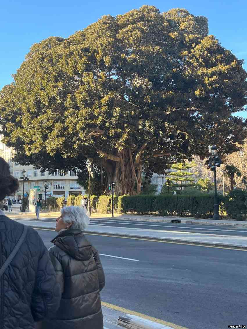 2-комнатная квартира, ул. Неманская, 15, 350 рублей: фото 17