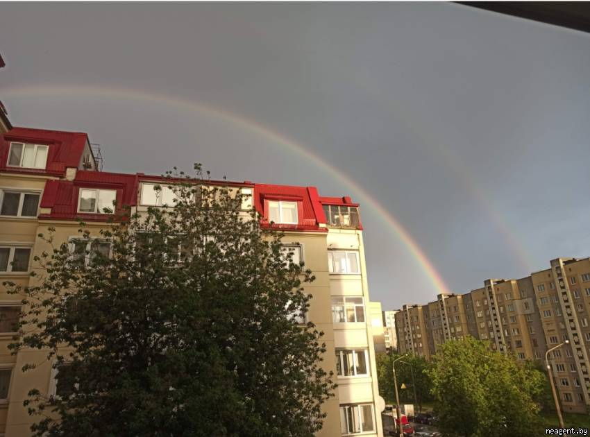 1-комнатная квартира, ул. Некрасова, 28, 256286 рублей: фото 30