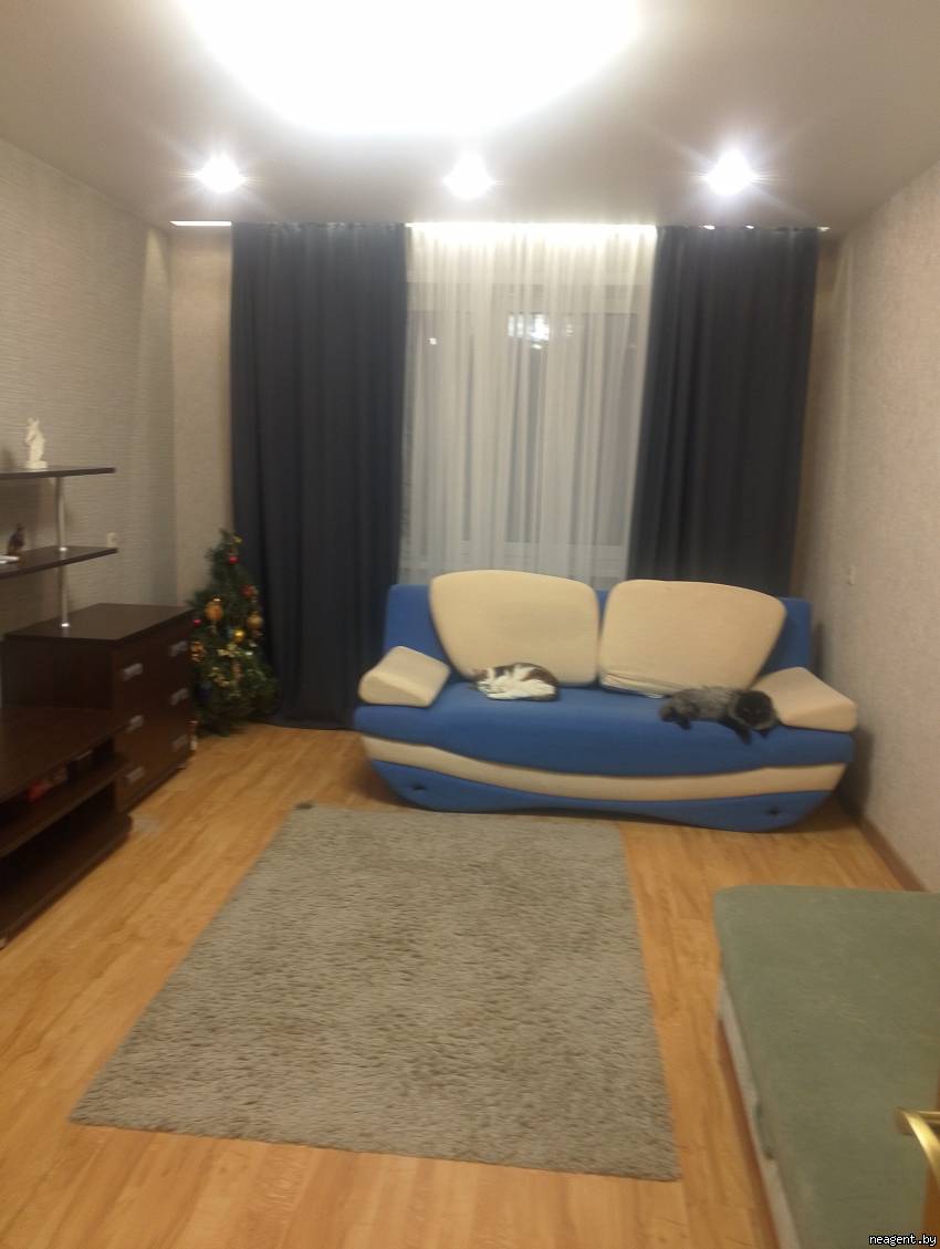 1-комнатная квартира, Плеханова, 48, 1147 рублей: фото 6