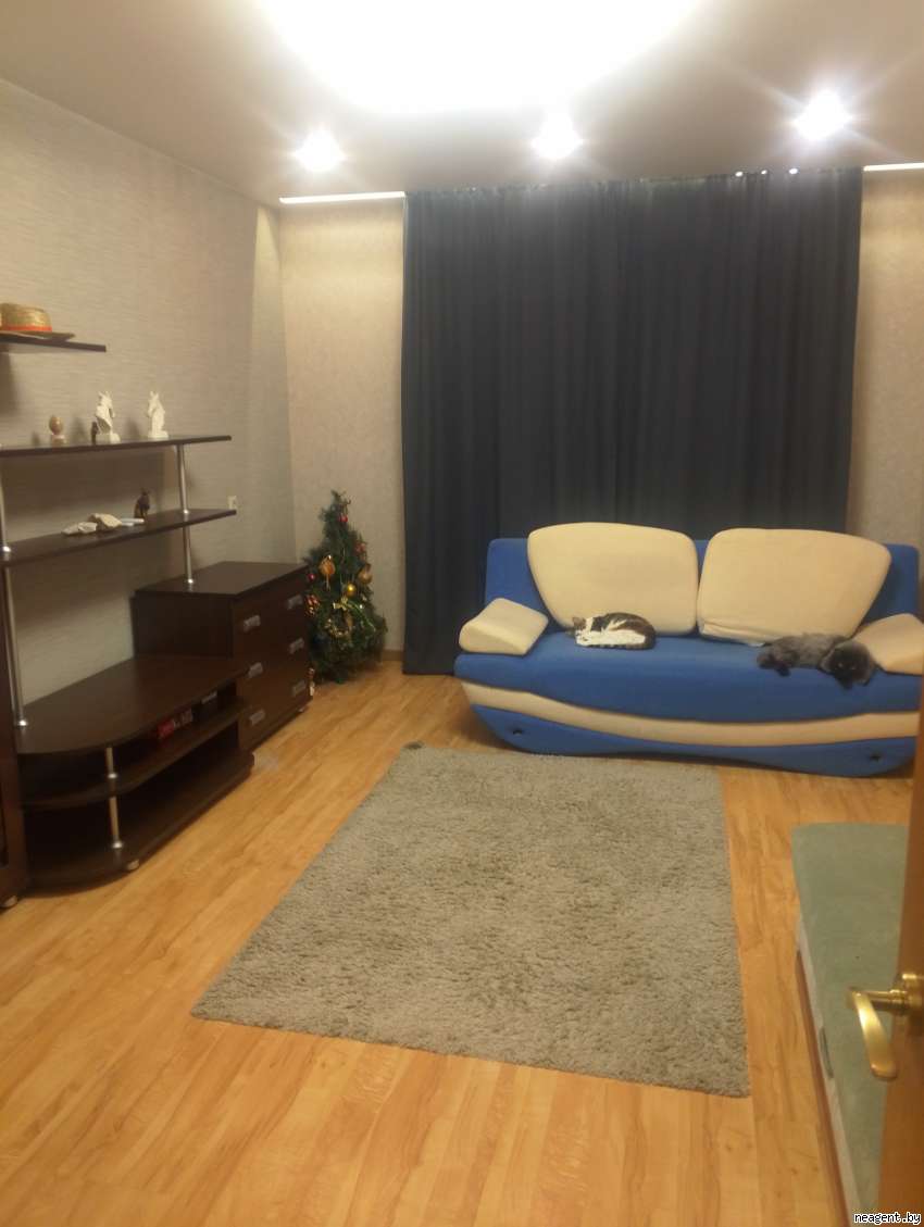 1-комнатная квартира, Плеханова, 48, 1147 рублей: фото 8