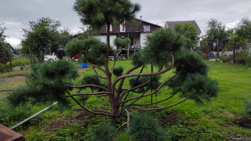 1-комнатная квартира, Семенова, 85, 700 рублей: фото 9