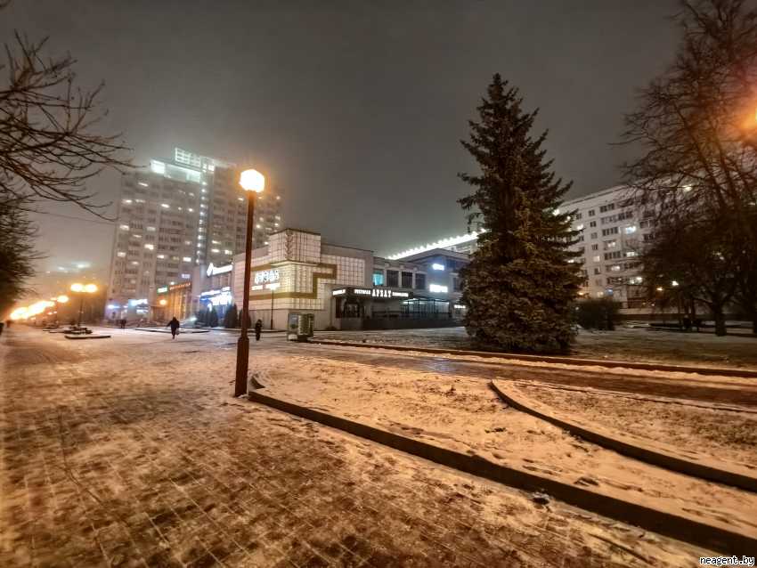 1-комнатная квартира, Независимости просп., 145, 460 рублей: фото 10