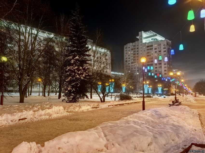 1-комнатная квартира, Независимости просп., 145, 460 рублей: фото 17